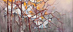 Sacred Ibis | 2011 | Oil on Canvas | 38 X 60 cm